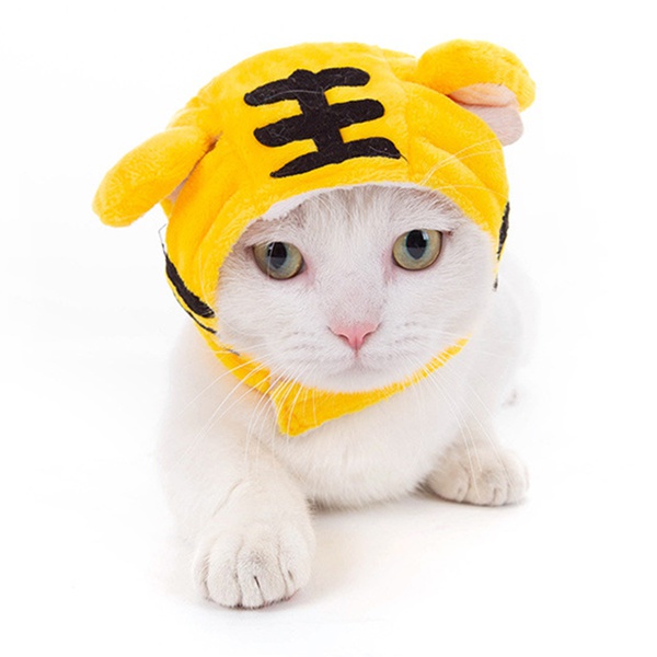 Cute cat headgear cat headdress dog disguise cute pet hat